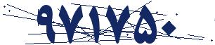 کد امنیتی